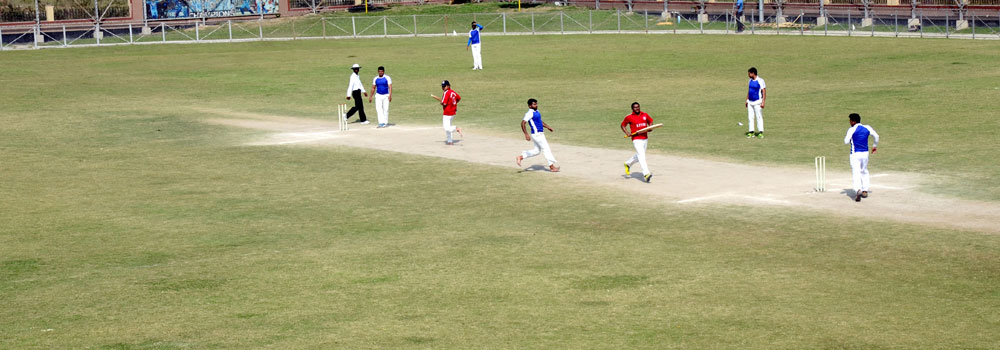 Cricket Match